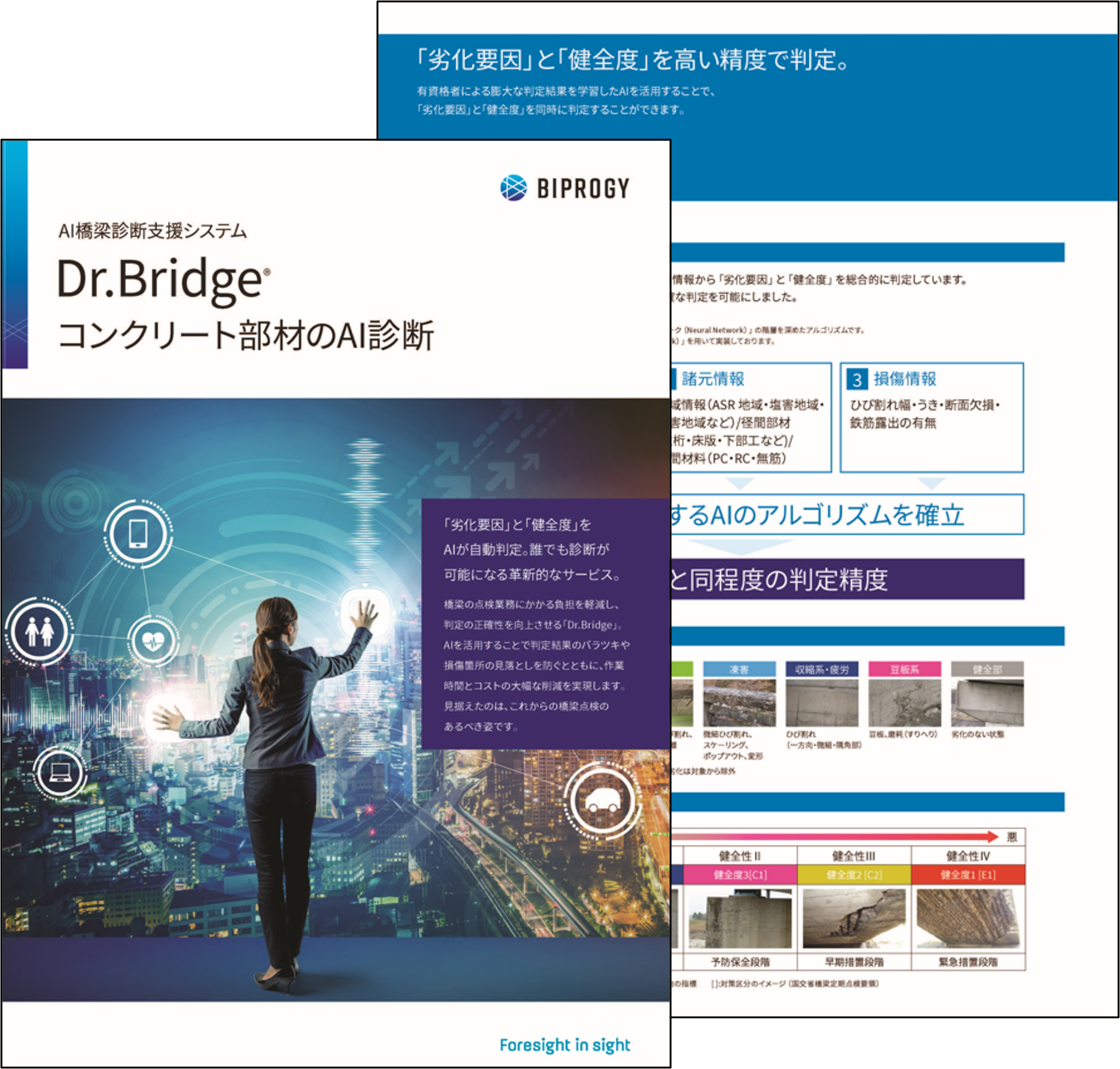 Dr.BridgeϢ