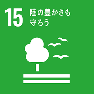 15: Φ˭